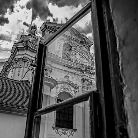 Penzion U Borovicku Litomerice Exterior foto