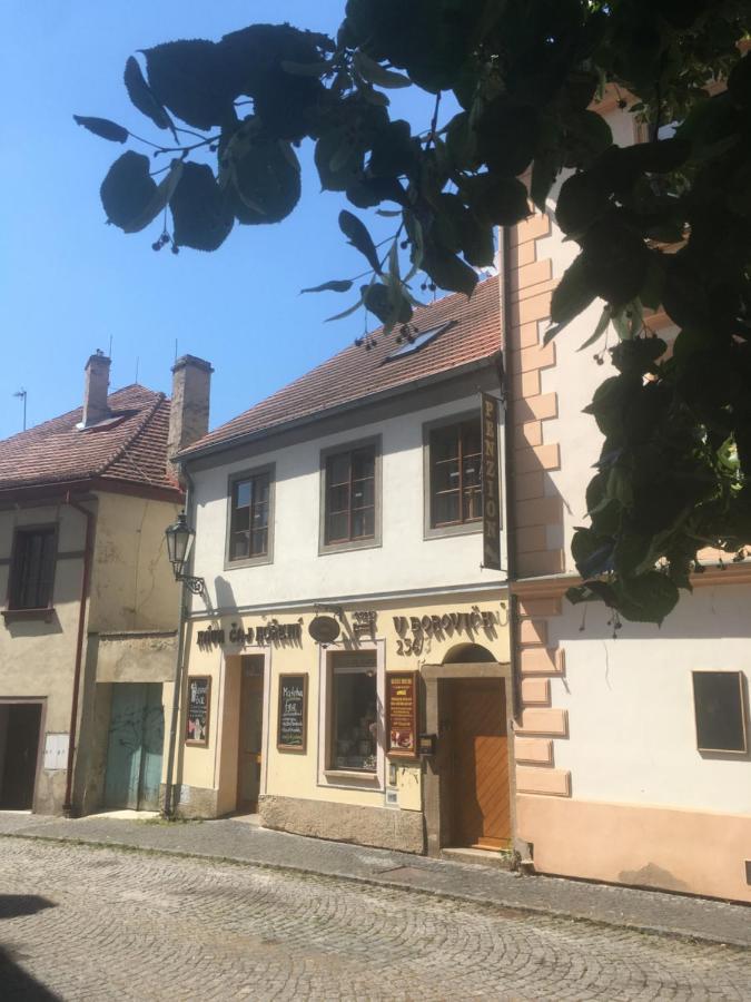 Penzion U Borovicku Litomerice Exterior foto