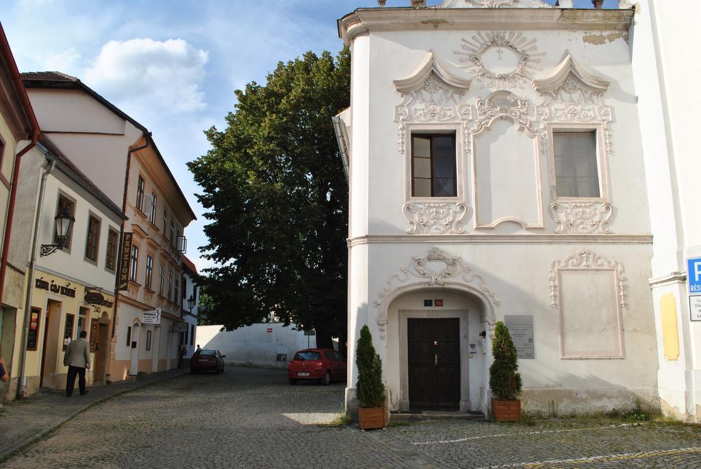 Penzion U Borovicku Litomerice Exterior foto