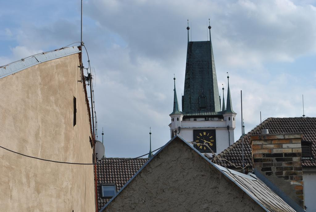 Penzion U Borovicku Litomerice Exterior foto