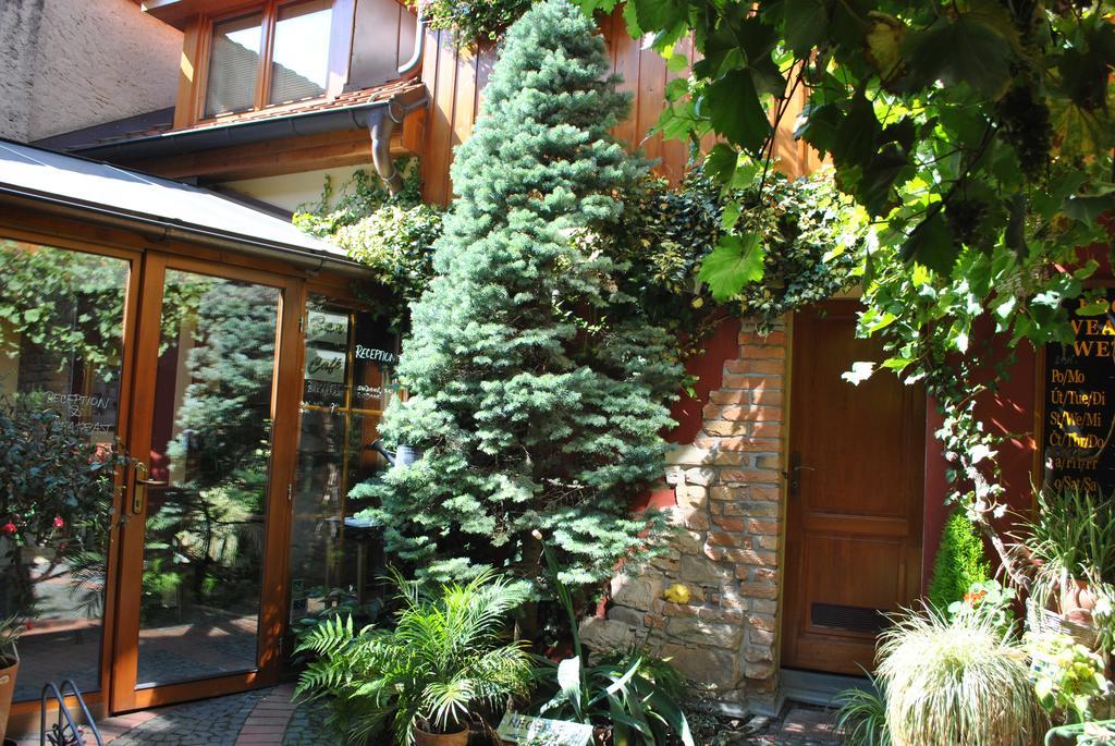 Penzion U Borovicku Litomerice Exterior foto