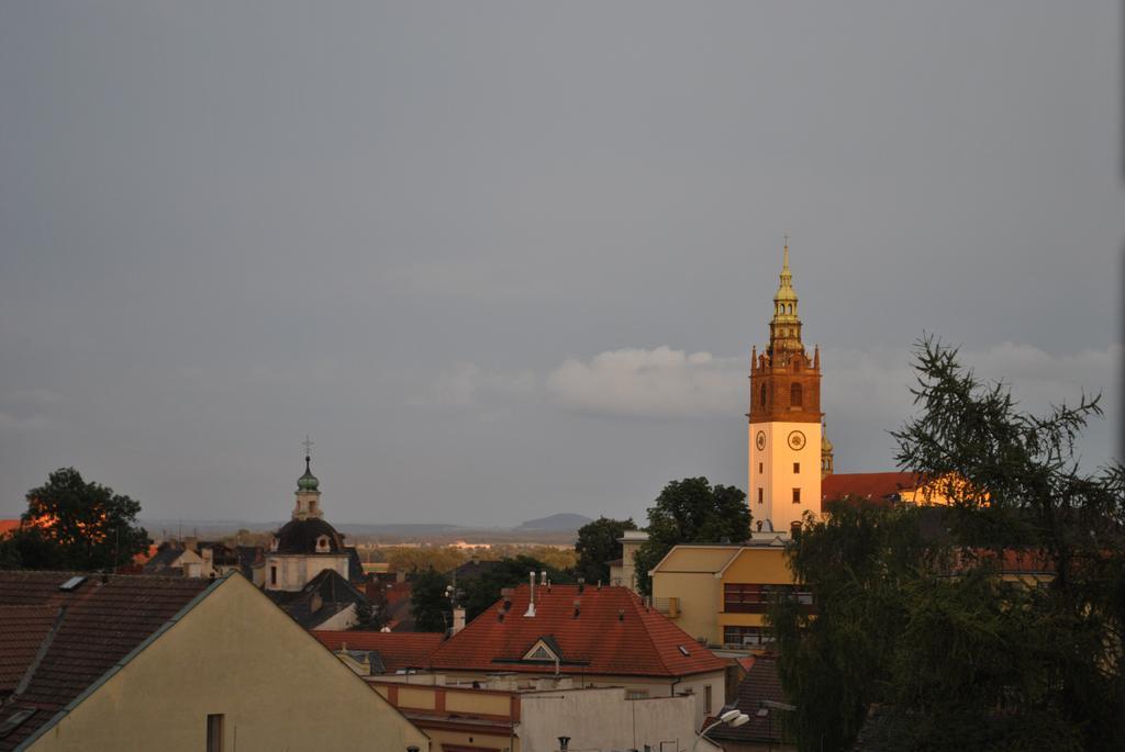 Penzion U Borovicku Litomerice Exterior foto