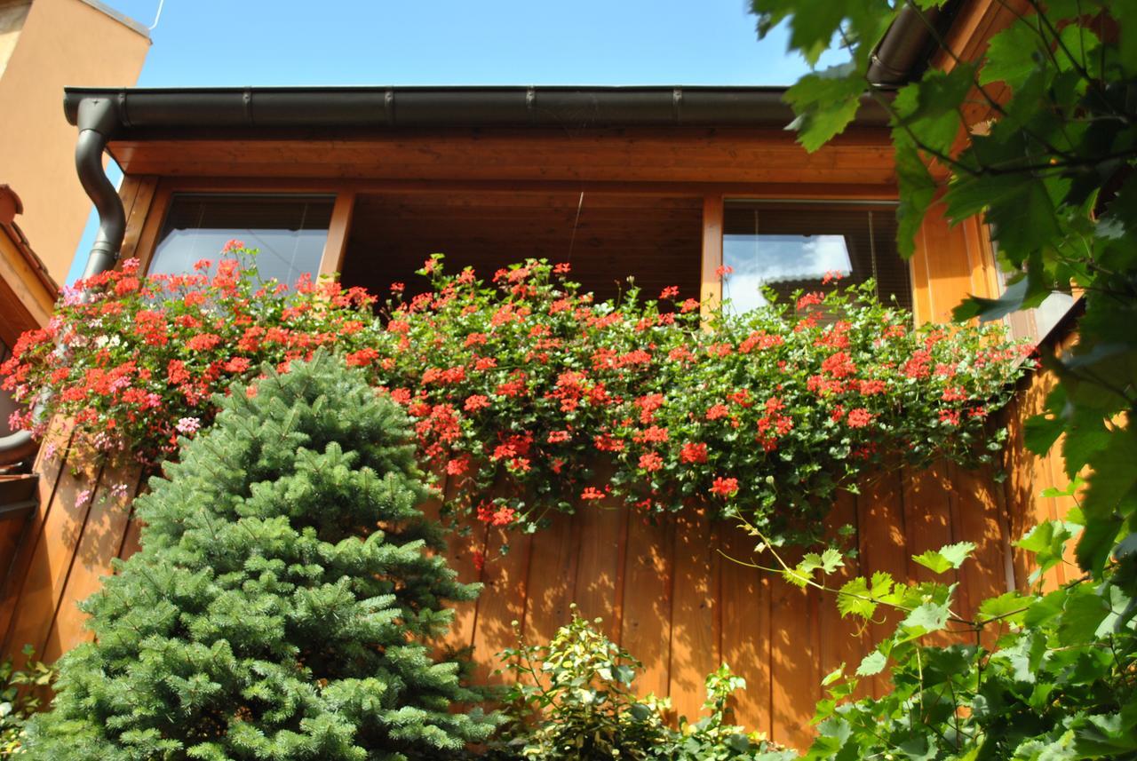 Penzion U Borovicku Litomerice Exterior foto