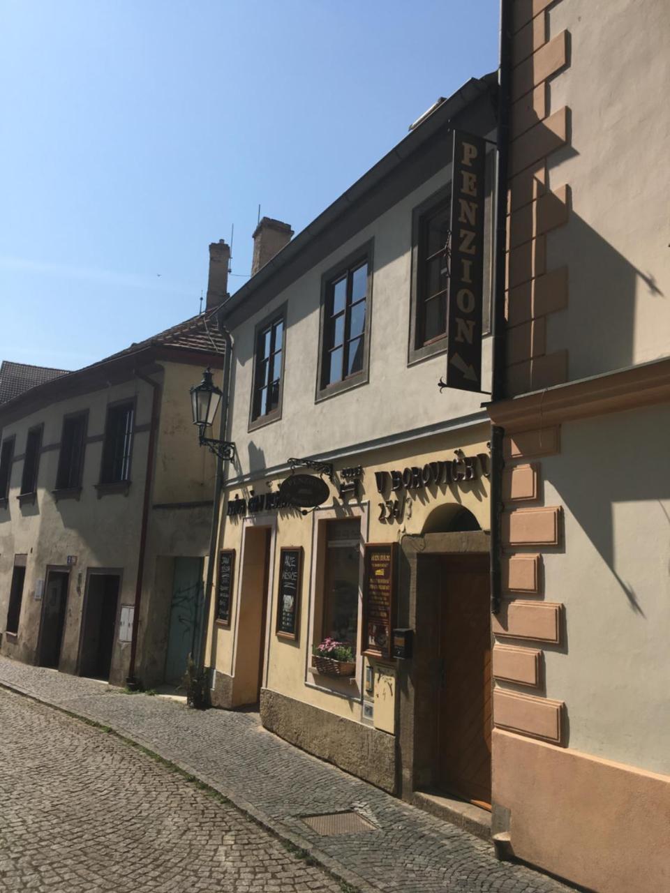 Penzion U Borovicku Litomerice Exterior foto