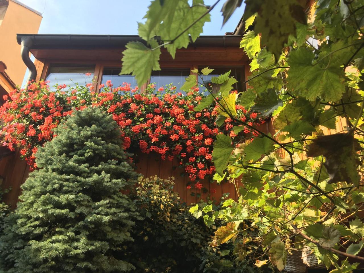 Penzion U Borovicku Litomerice Exterior foto